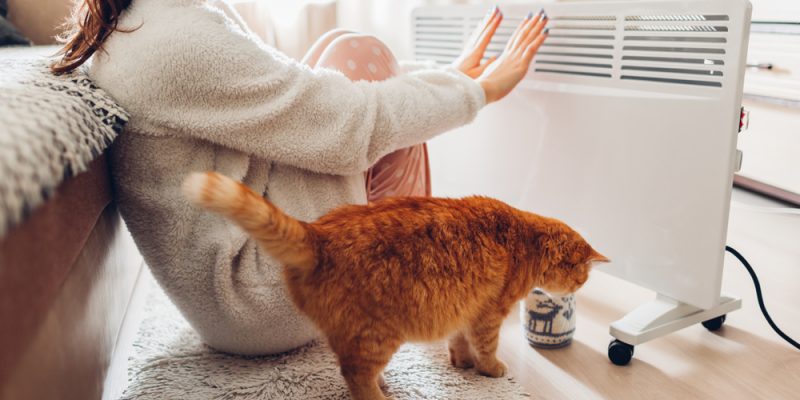 Woman warming her hands with cat by the radiator.